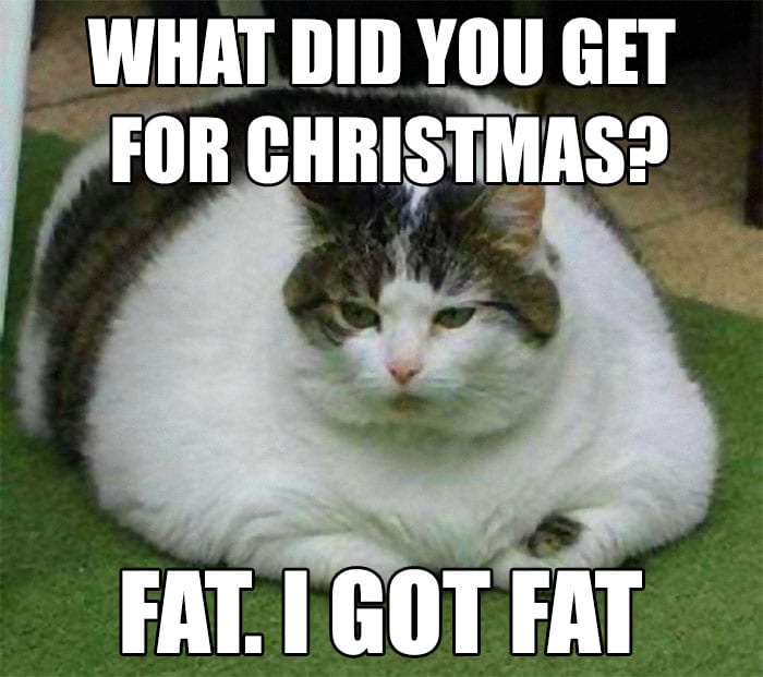 20 Hilarious Christmas Memes to Get You in the Holiday Spirit