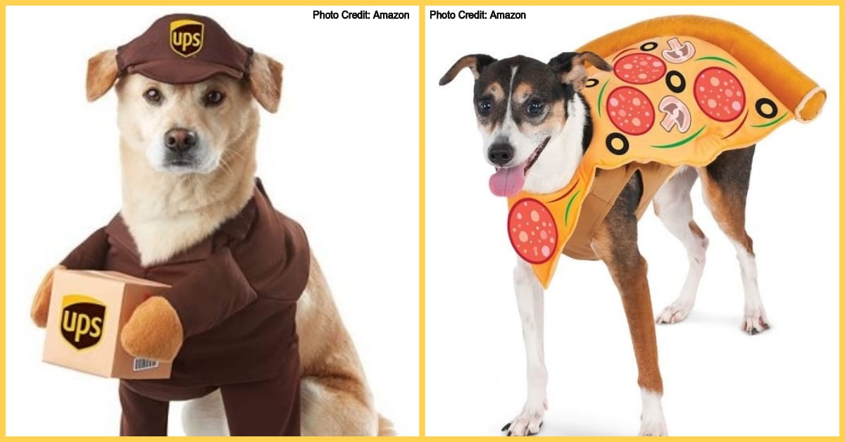 The 12 Best Dog Costumes You Can Get on Amazon Right Now