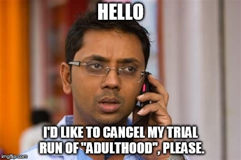 14 Amazing Adulting Memes That You Need Today or ...