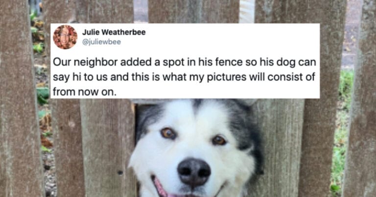 People Share The 10 Wonderfully Wholesome Tweets And Stories With The World