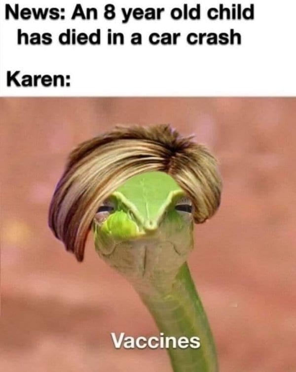 15 Karen Memes About Karens Karen-ing All Over The Place