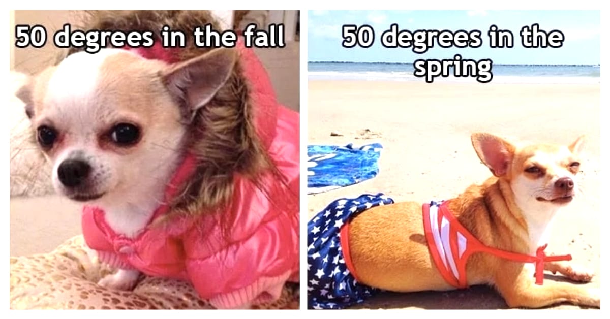15 Memes That Show the Pros and Cons of Springing Into Spring