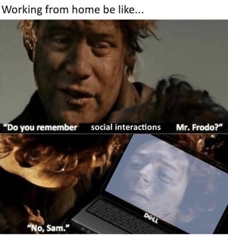 15 HighValue Memes to Invest a Bit of Time In