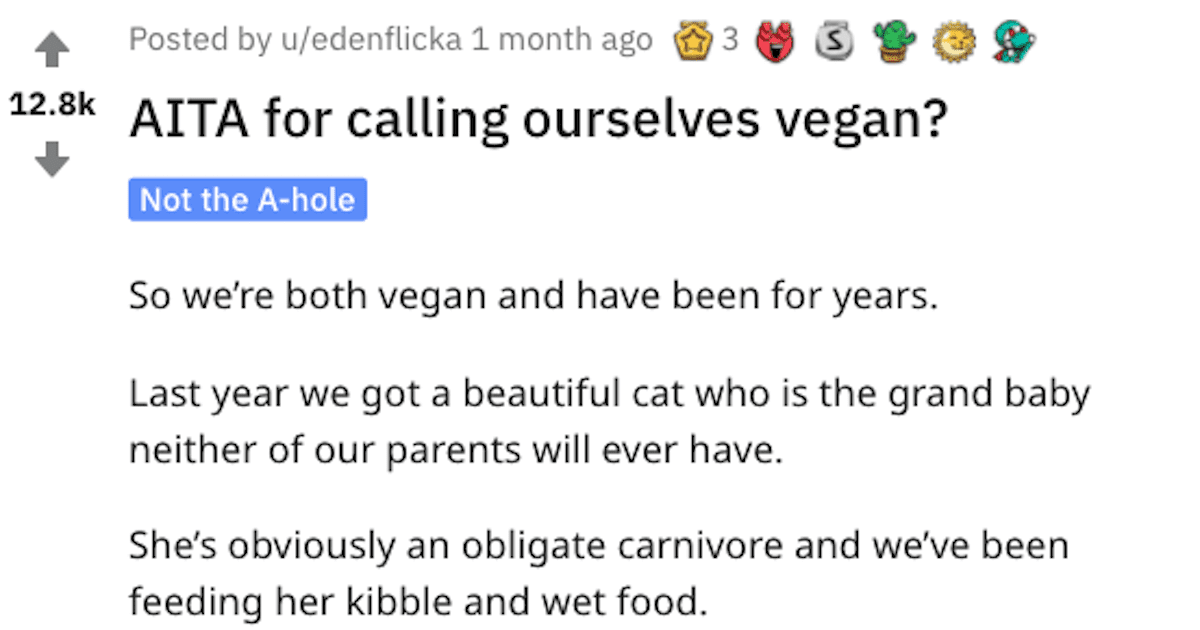 Vegans Are Calling This Couple out for Feeding Their Cats Real Meat