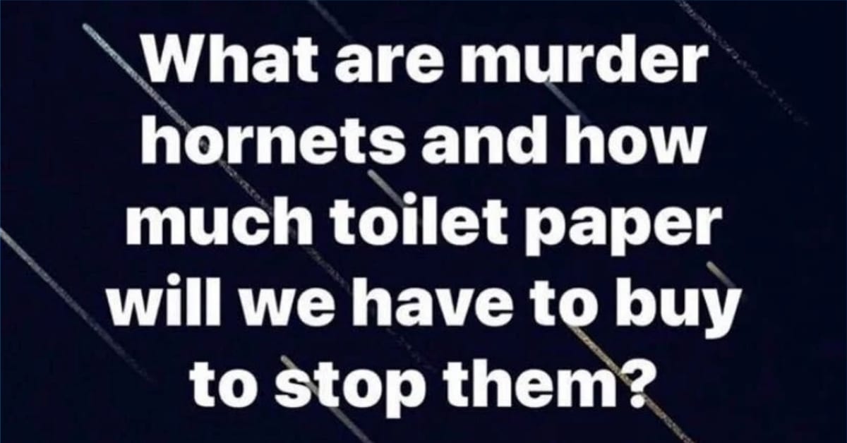 15 Memes To Celebrate Murder Hornets Because Everything Is The Worst