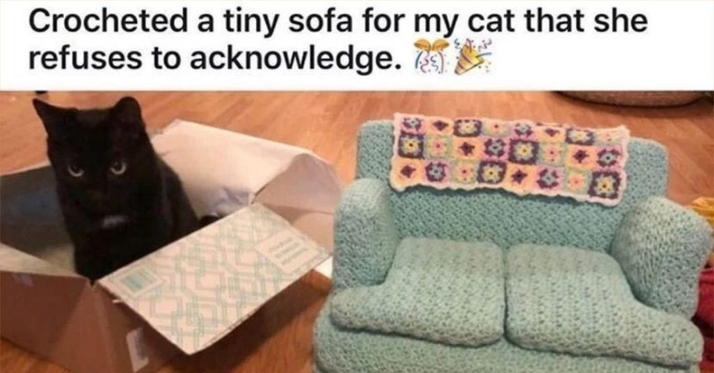 10 Cats Doing Ridiculous, Adorable Cat Stuff