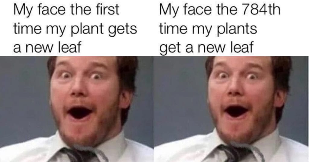 12 Memes for People Whose Plant Obsession Is a Real Problem