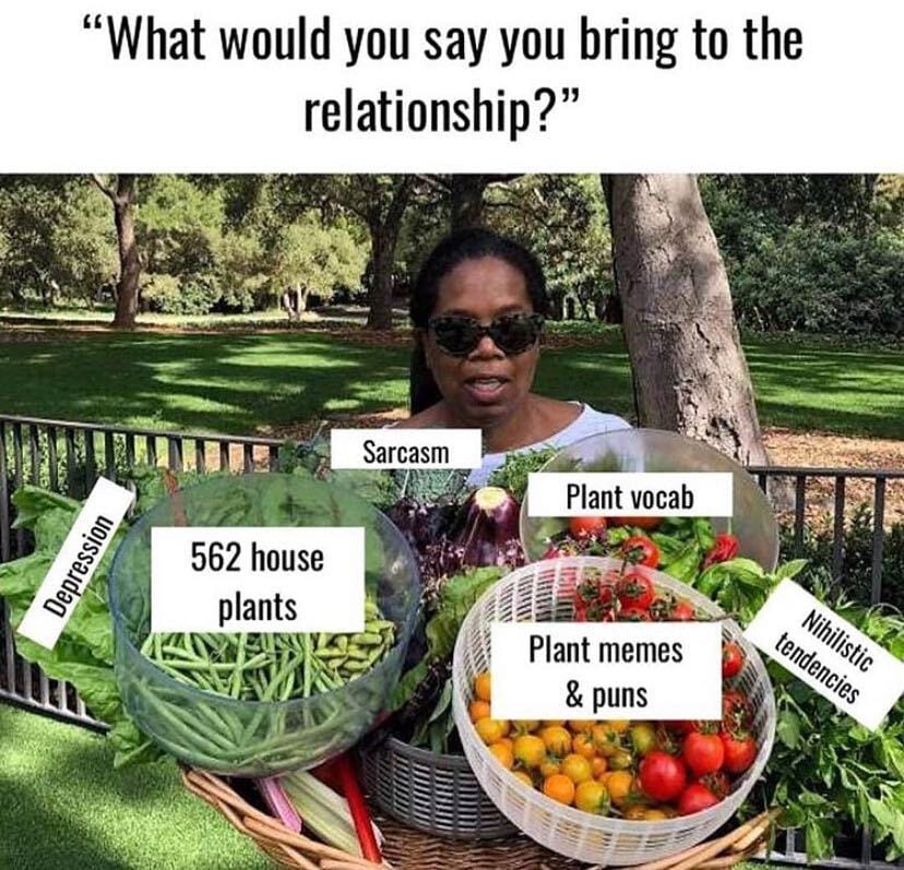 12 Memes for People Whose Plant Obsession Is a Real Problem