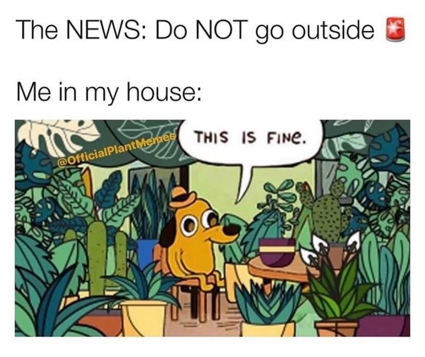 12 Memes for People Whose Plant Obsession Is a Real Problem
