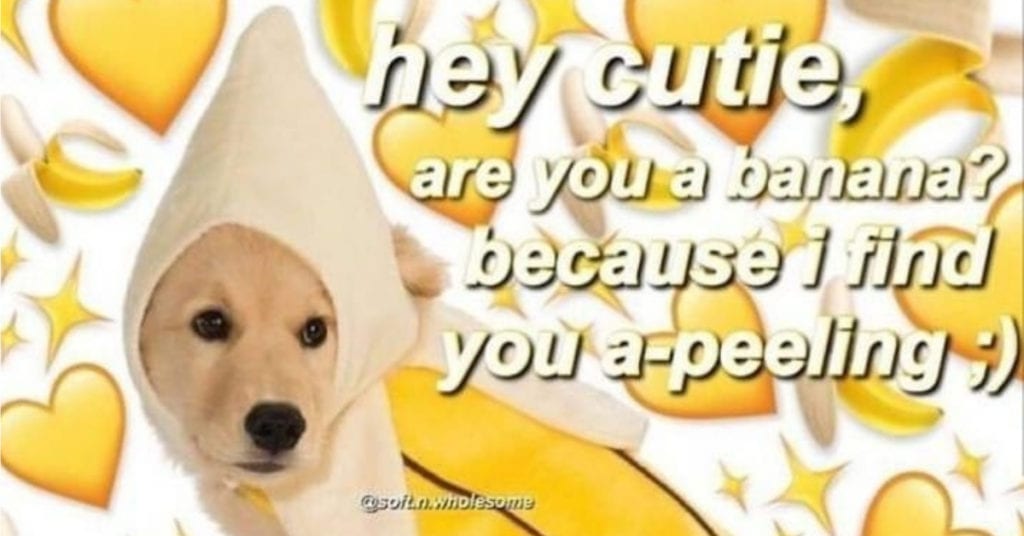 10 Cute Compliment Memes to Send To Your Special Someone