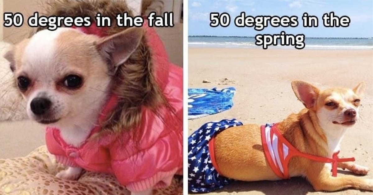 12 Memes for People Who Are Glad It's Finally Spring