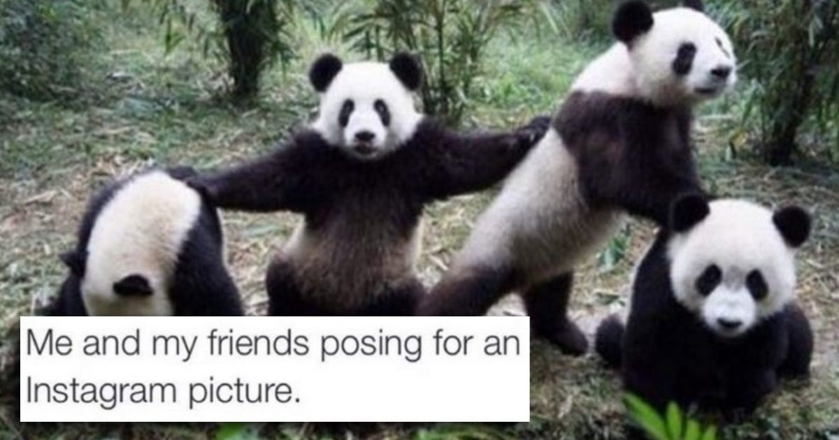 10 Memes to Celebrate Your Best Friends